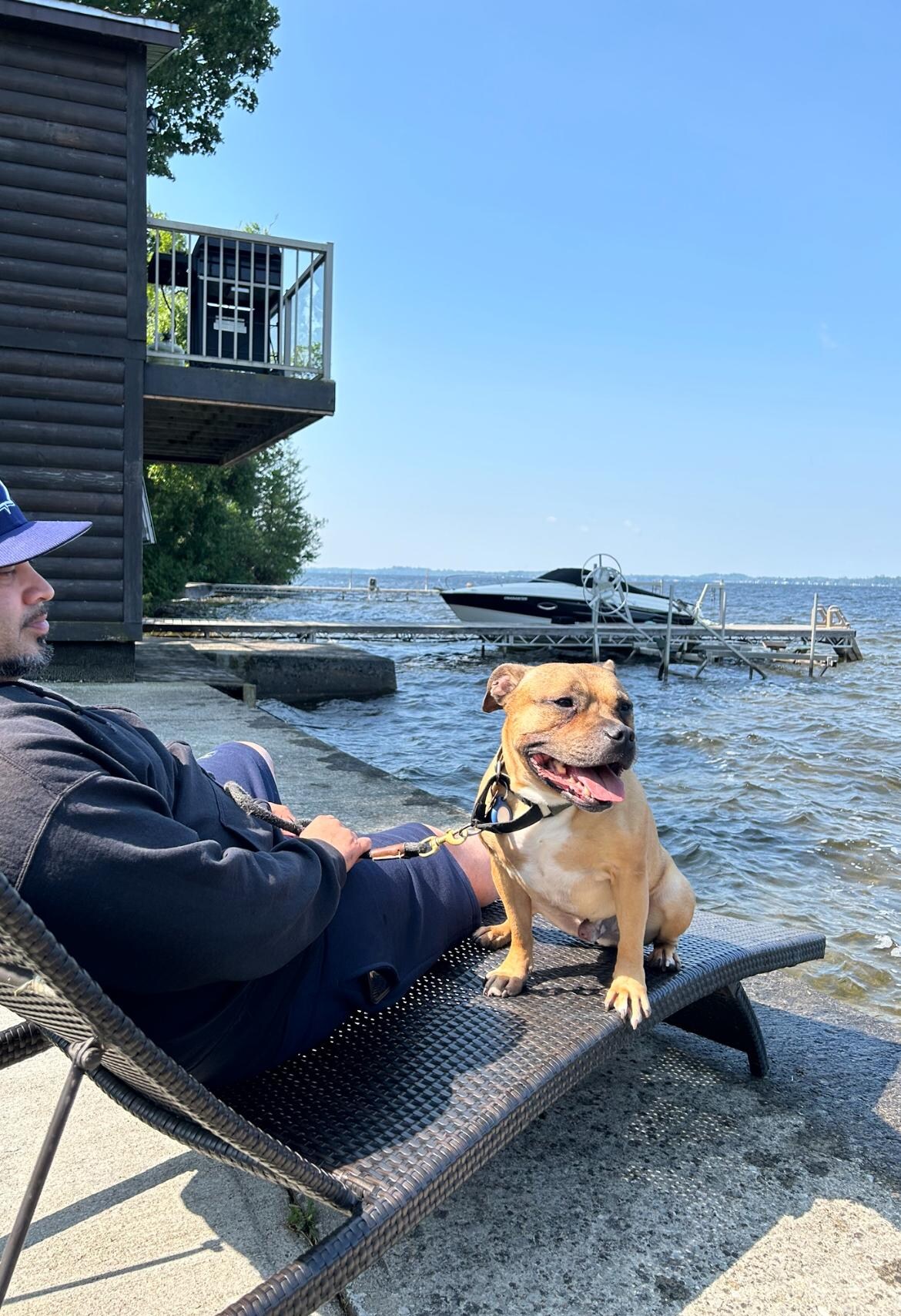Our pup enjoying the morning sunshine by the lake.
