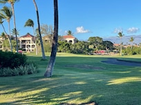 View from back patio