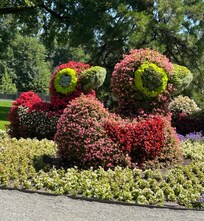 Insel Mainau