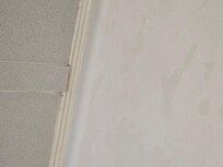 Shower, mold and dirt