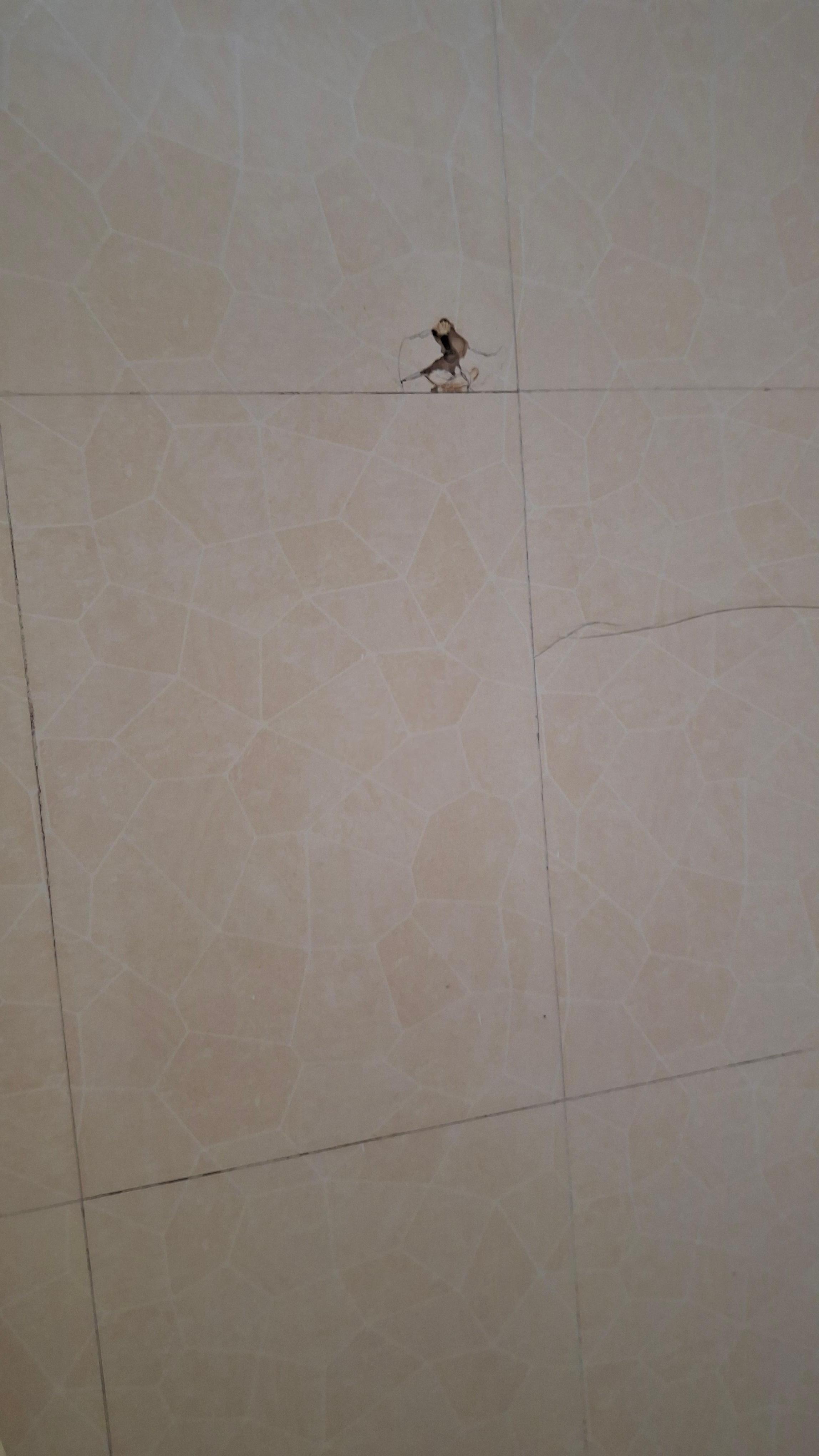 Shower head holder broken