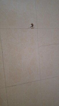 Shower head holder broken
