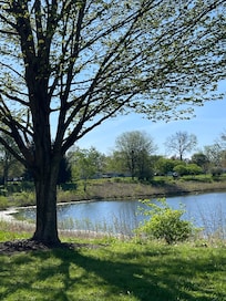 This was at the park near by.
