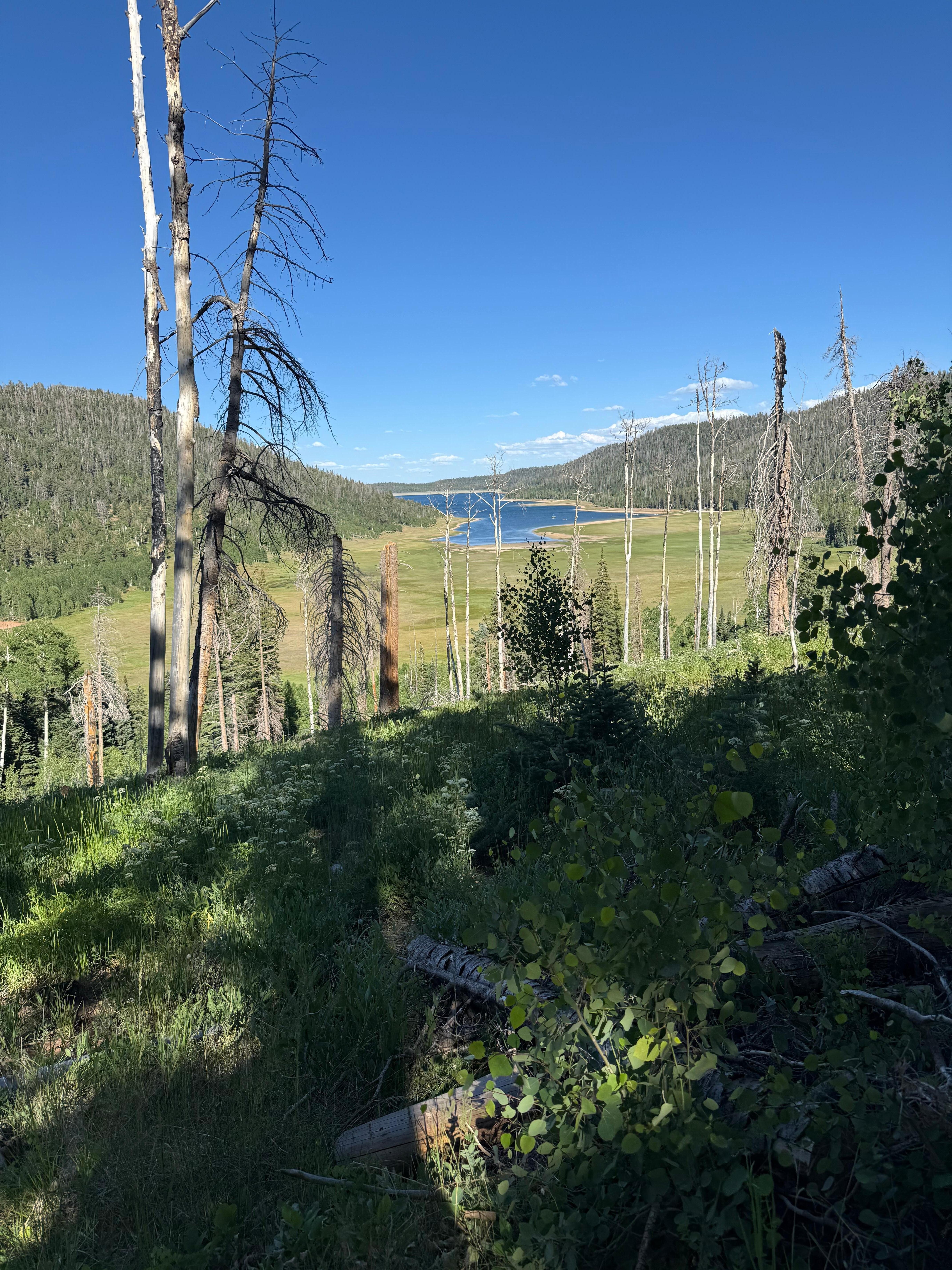 Hiking nearby