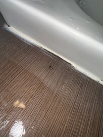 Roach in the bathroom, there was one in the bed too but didnât catch a photo