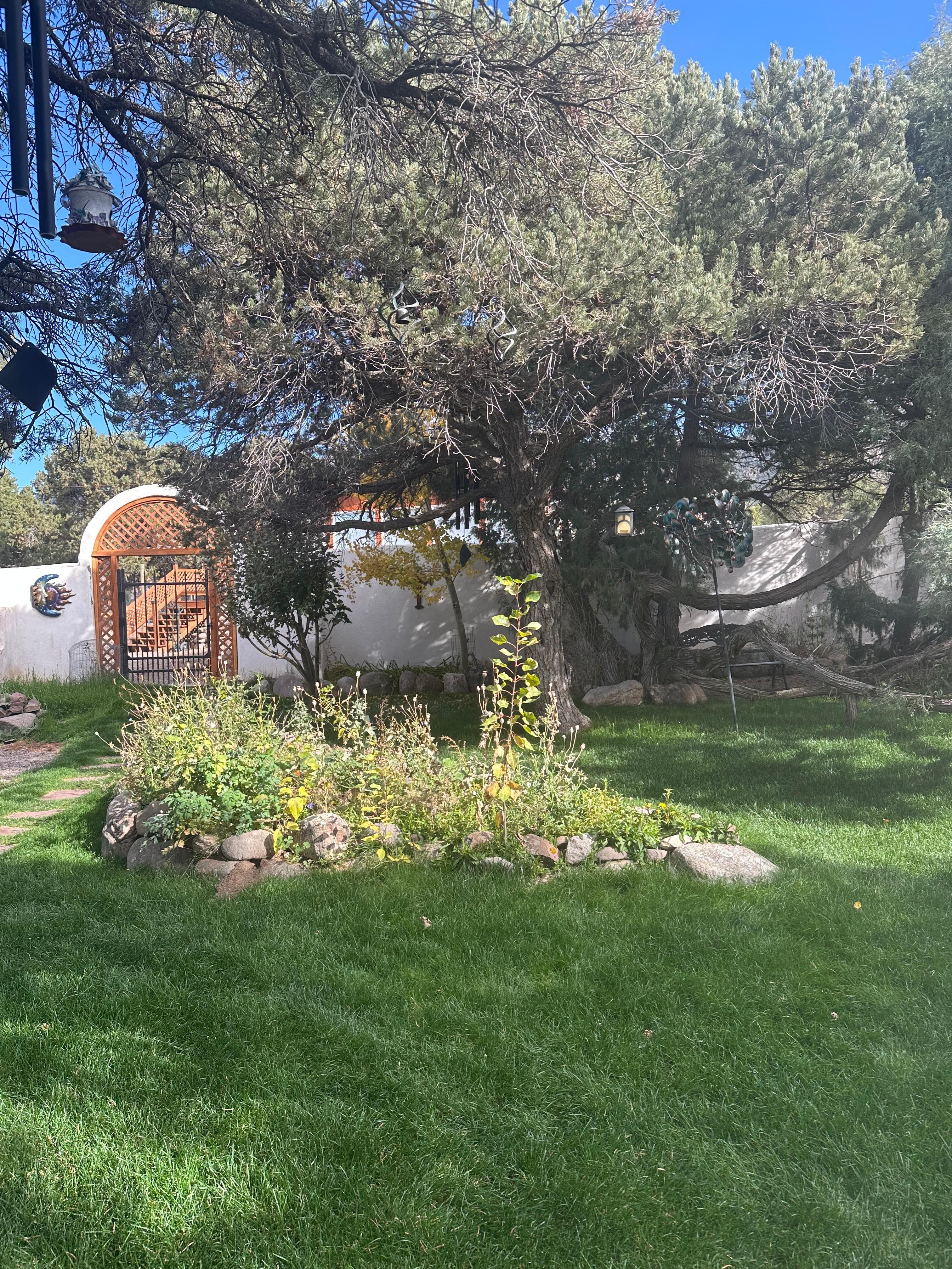 View of communal garden #1