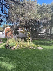 View of communal garden #1