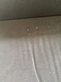 Stained couch and broken