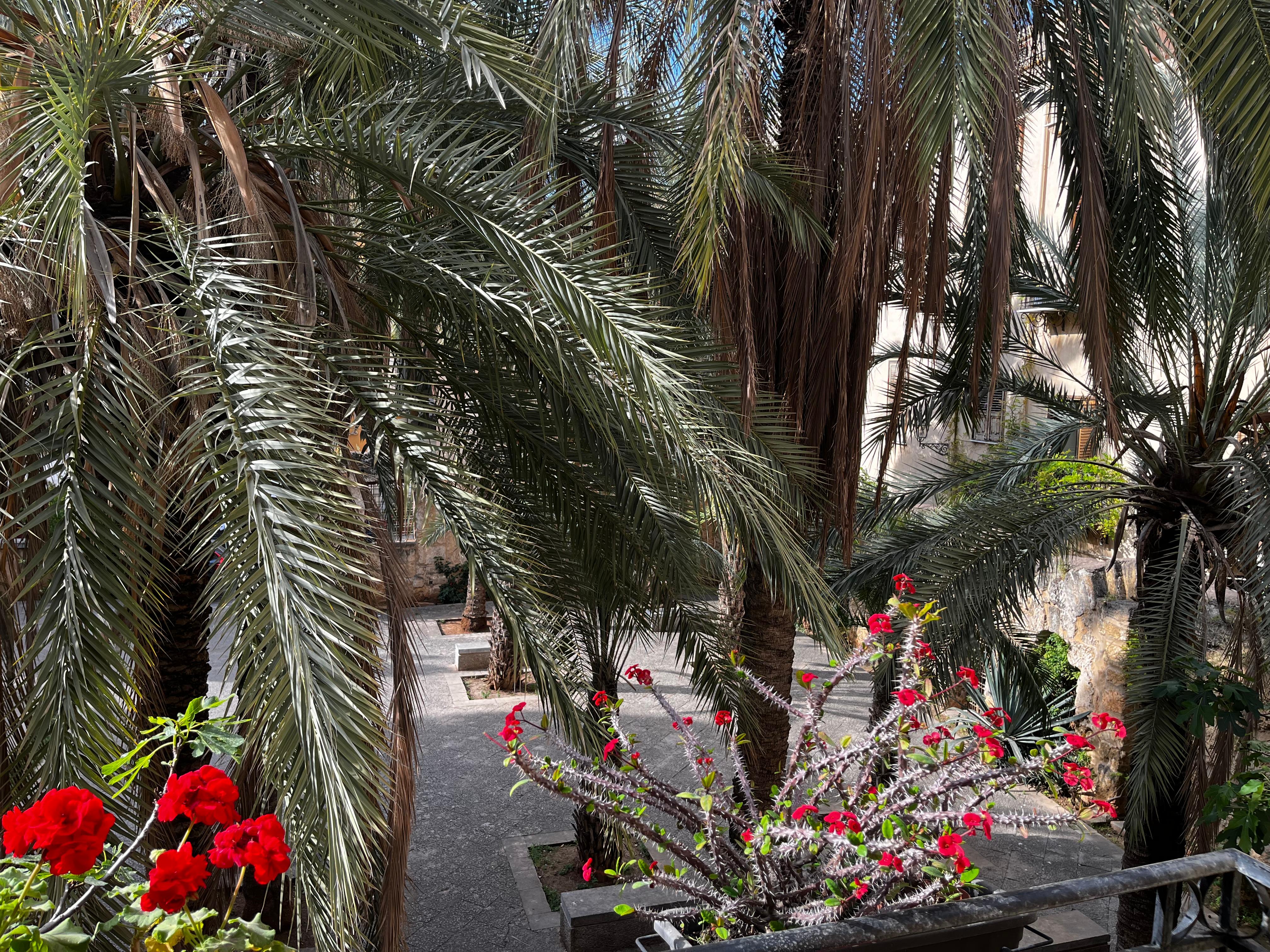 Beautiful terrace