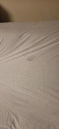 Dirty sheet