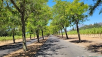Sterling Vineyards