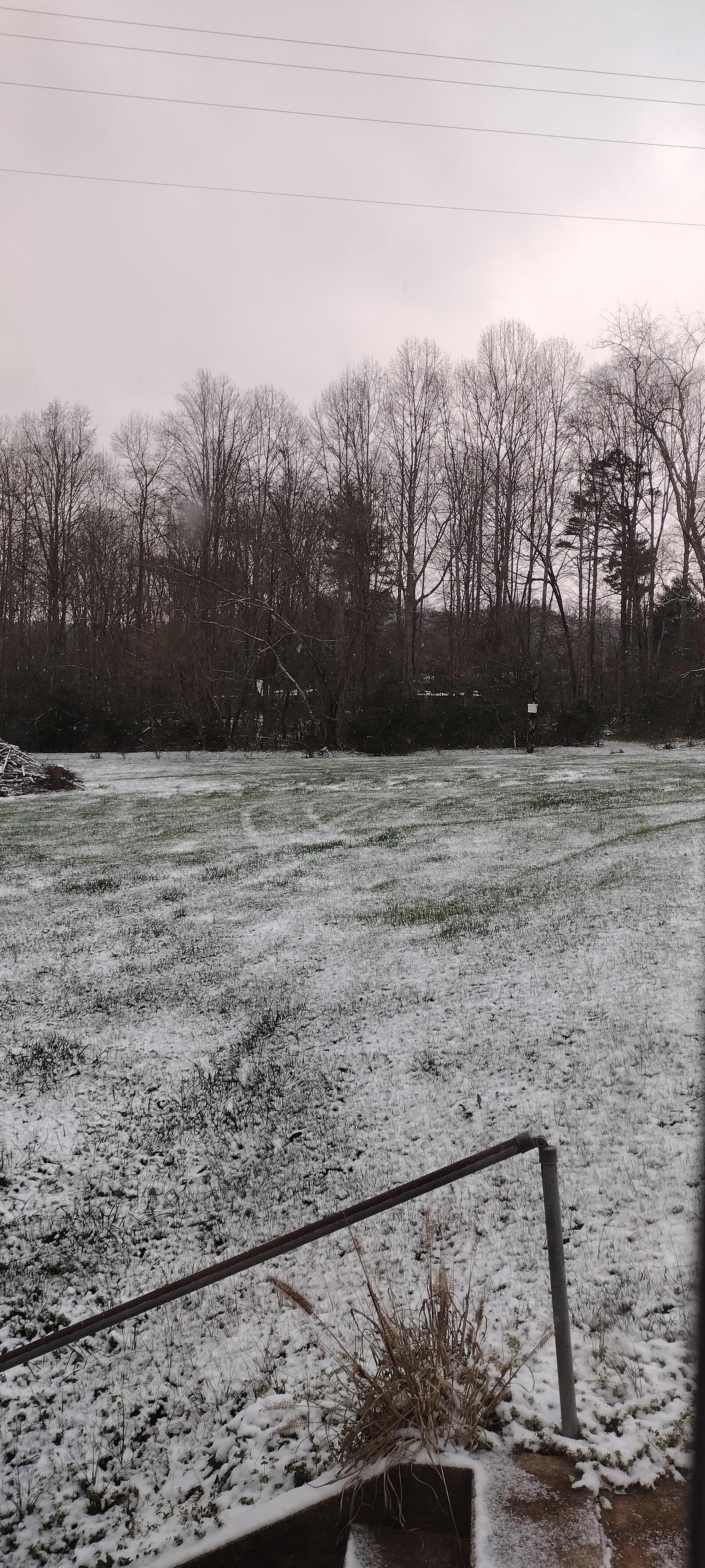 A dusting of snow on the backyard.