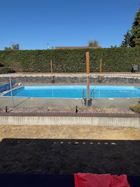 Beautiful sunny shot of the pool