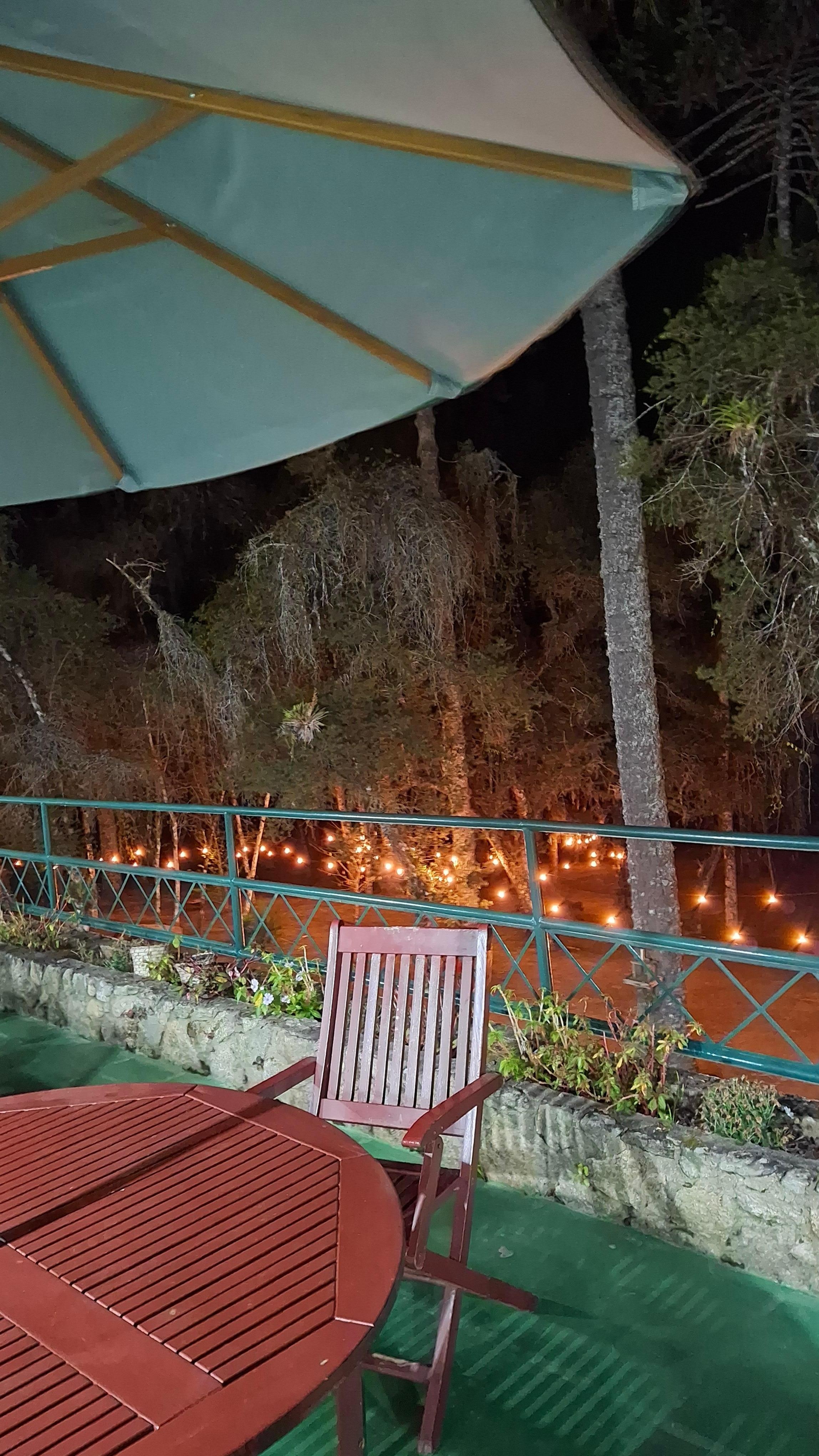 Bosque fica iluminado à noite