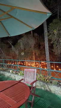 Bosque fica iluminado à noite