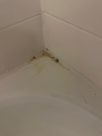 Mold