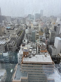 View from my hotel room on a rainy day.