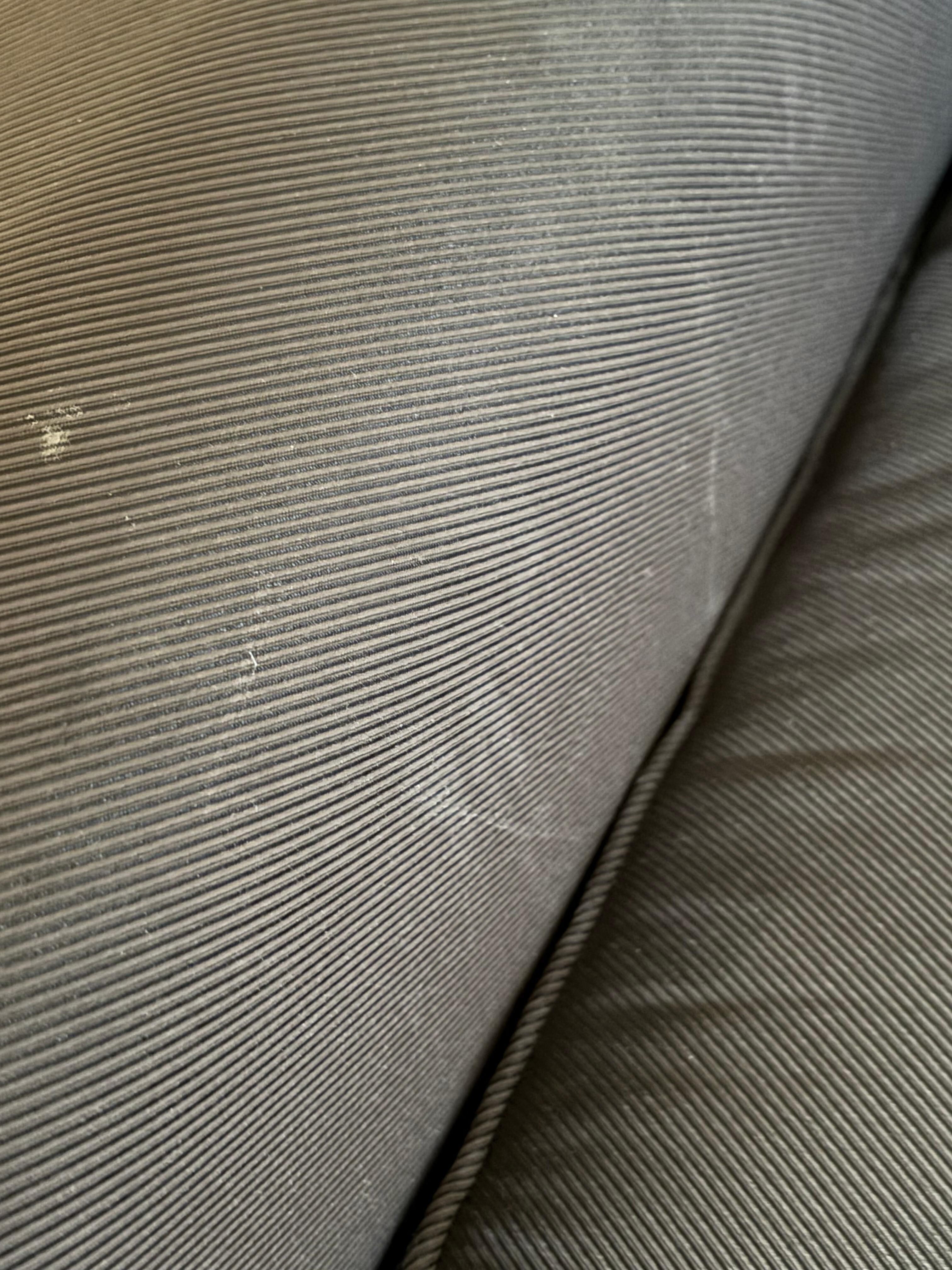 Stained couch