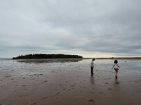 We were fascinated by the tides