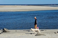 On the beach. Dog friendly