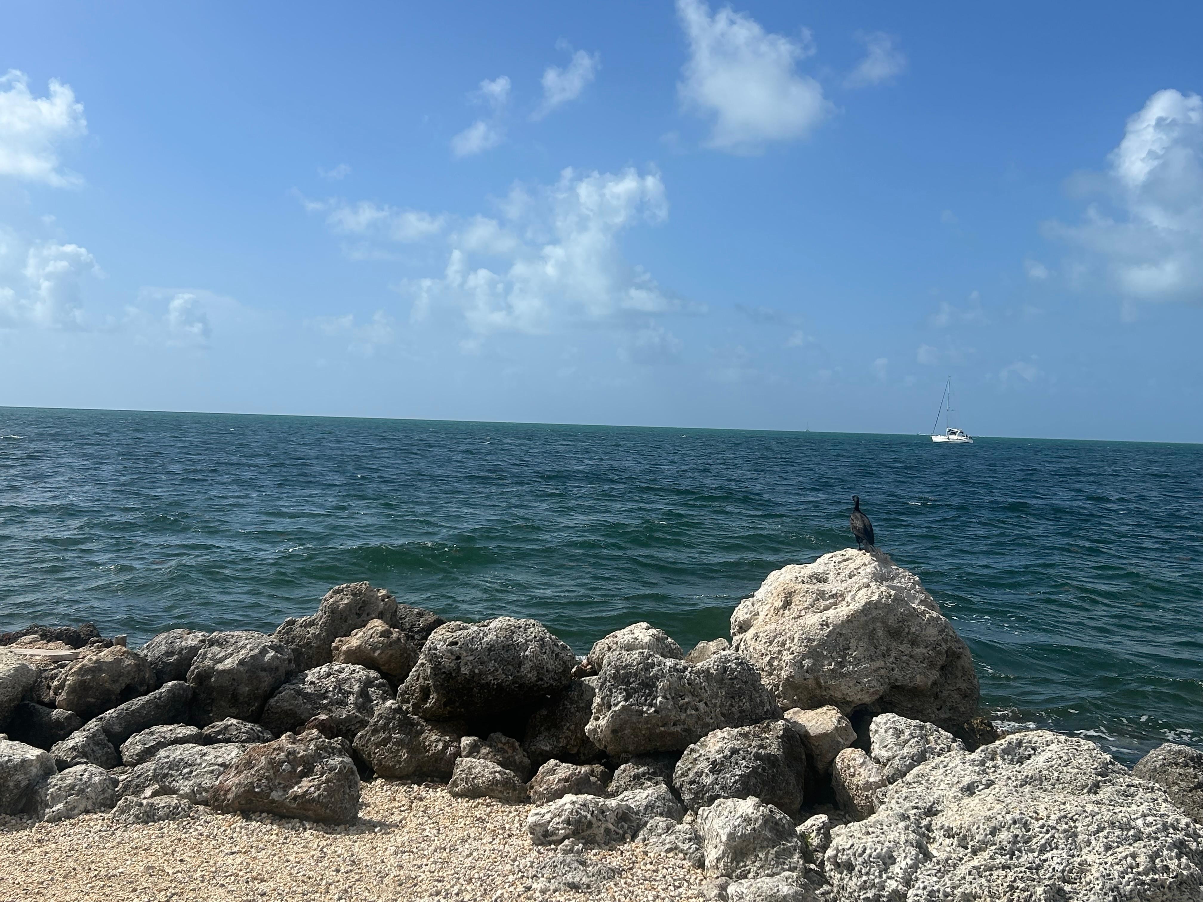 View from the marina