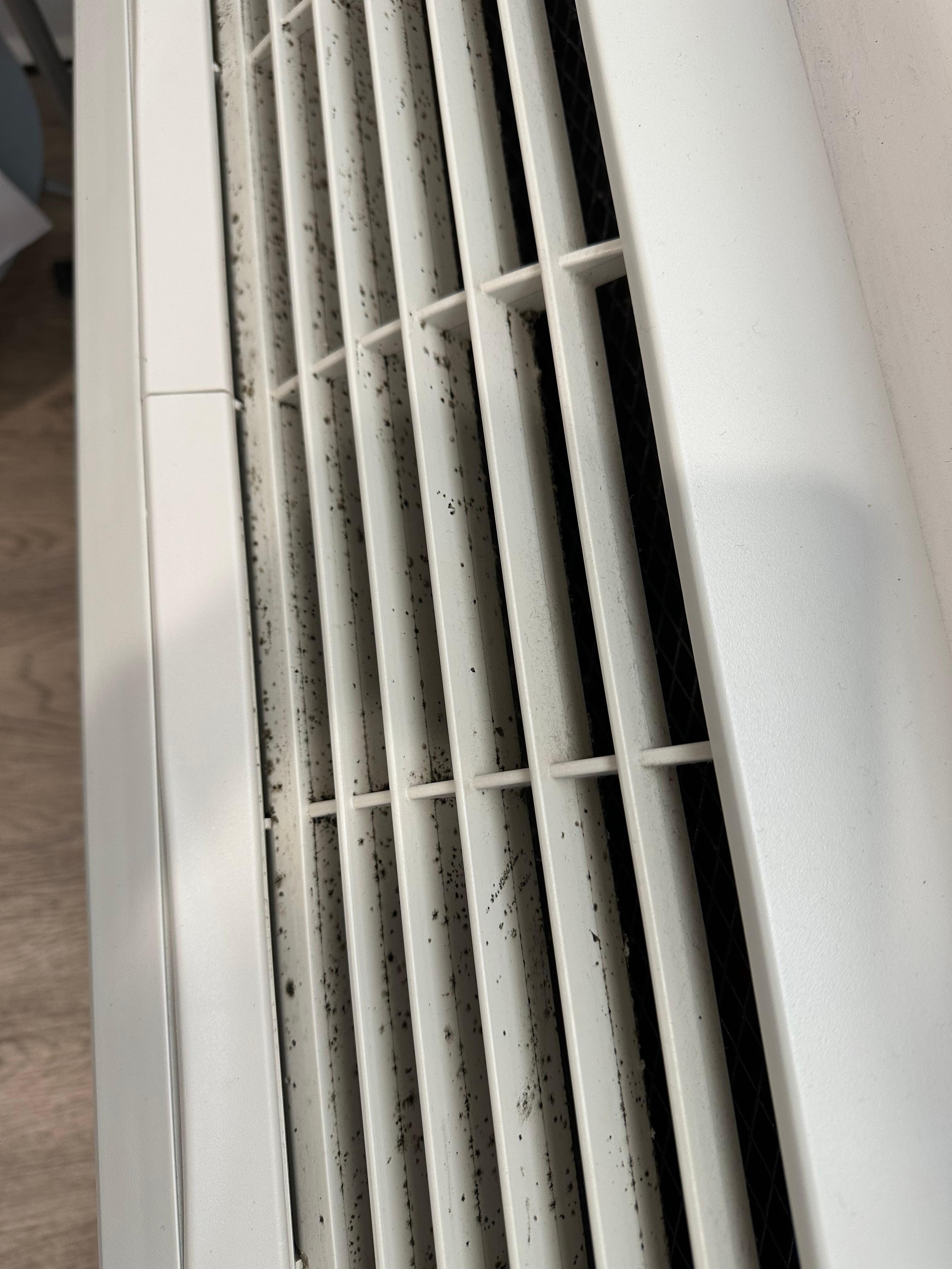 Mold on air conditioner vents 