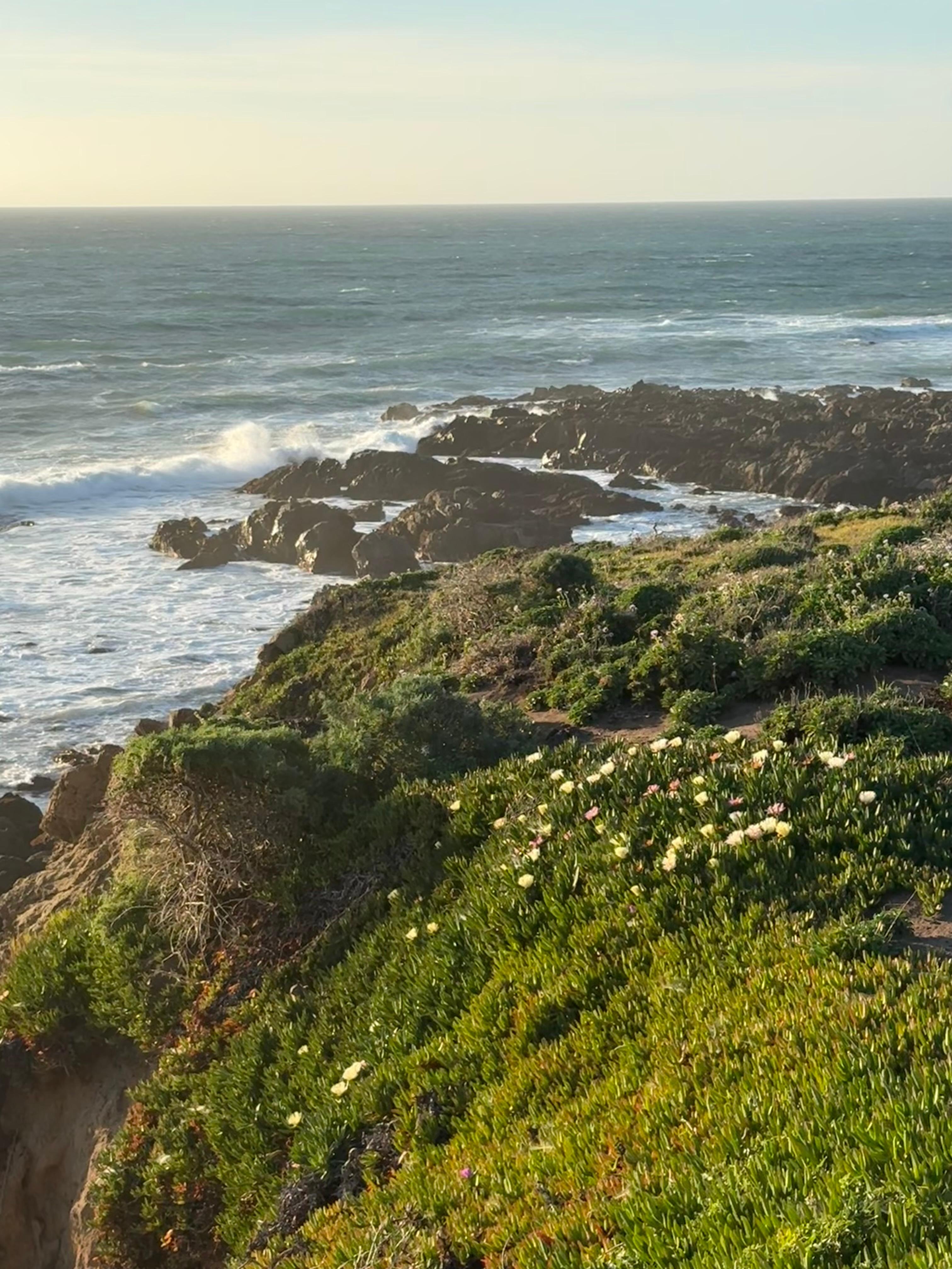 Fiscalini Ranch- less tha a 1 mile walk from the house to this view