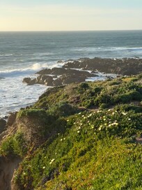 Fiscalini Ranch- less tha a 1 mile walk from the house to this view