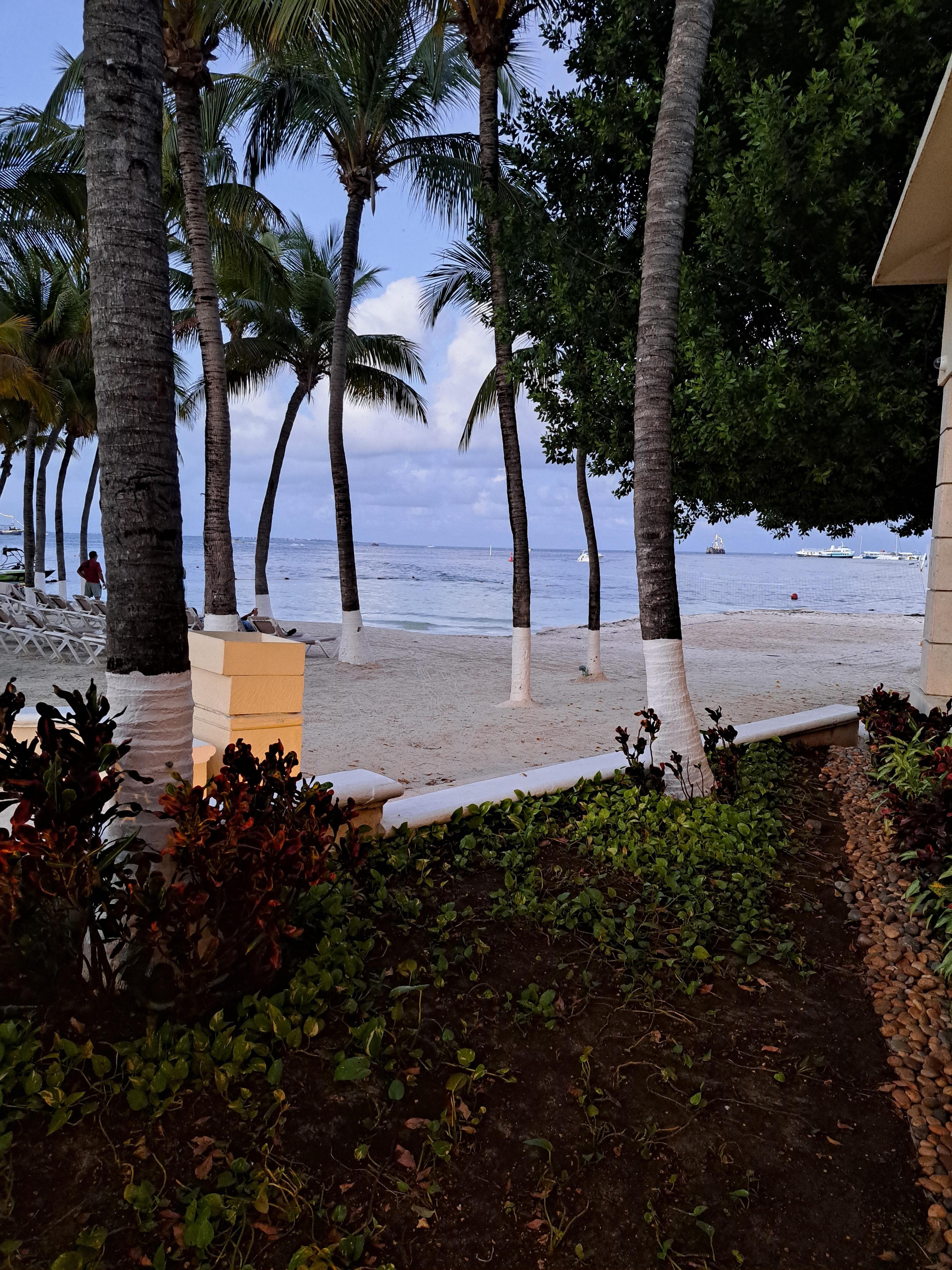 Beautiful view in the evening of the ocean