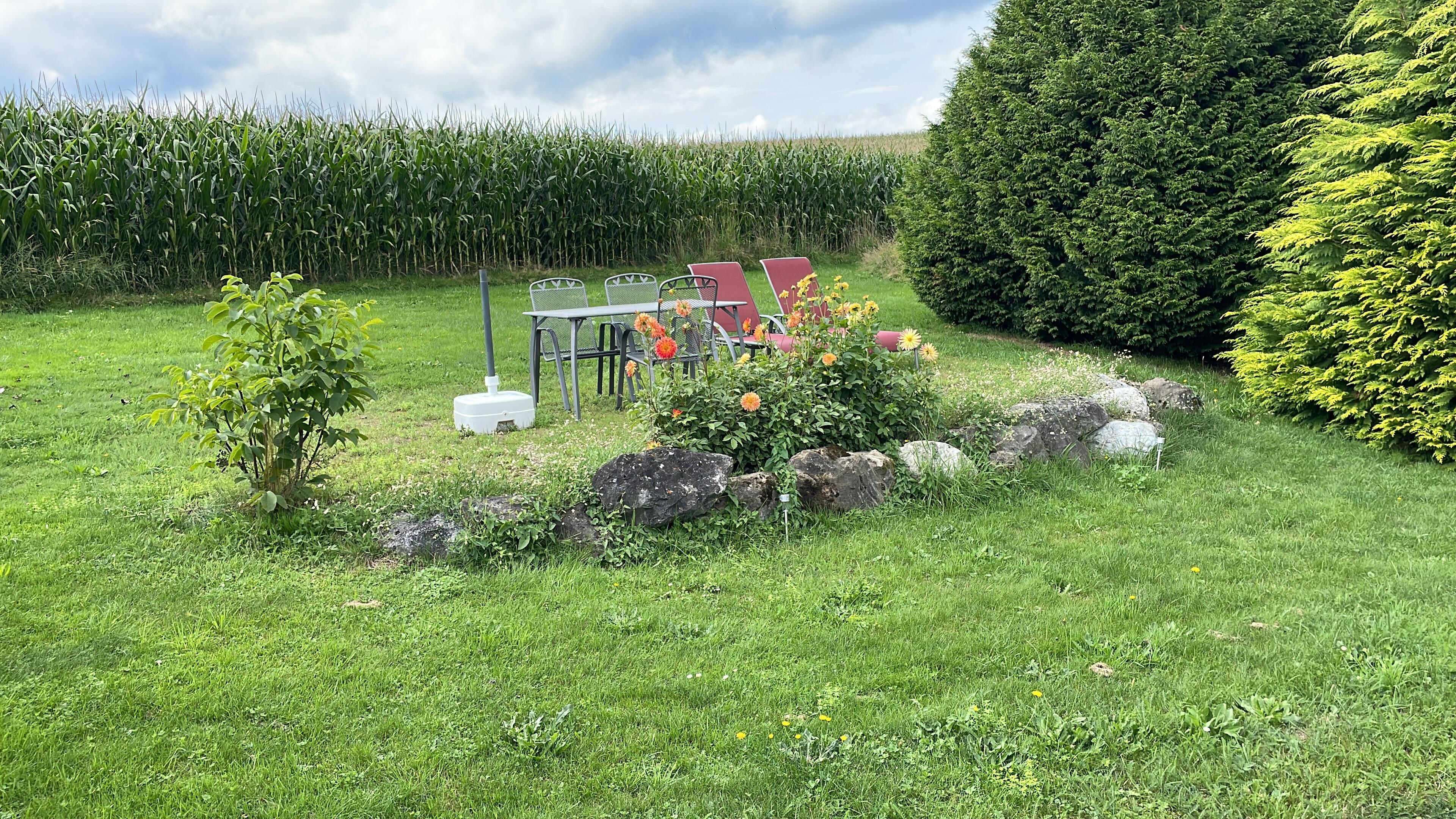 Zithoek buiten, uniek voor jouw als gast.
Dekjes voor op de stoelen aanwezig. Tevens parasol aanwezig.