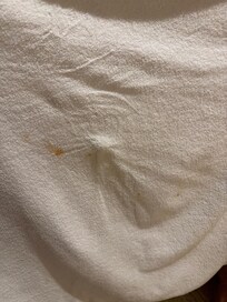 Serviettes sales et tachées