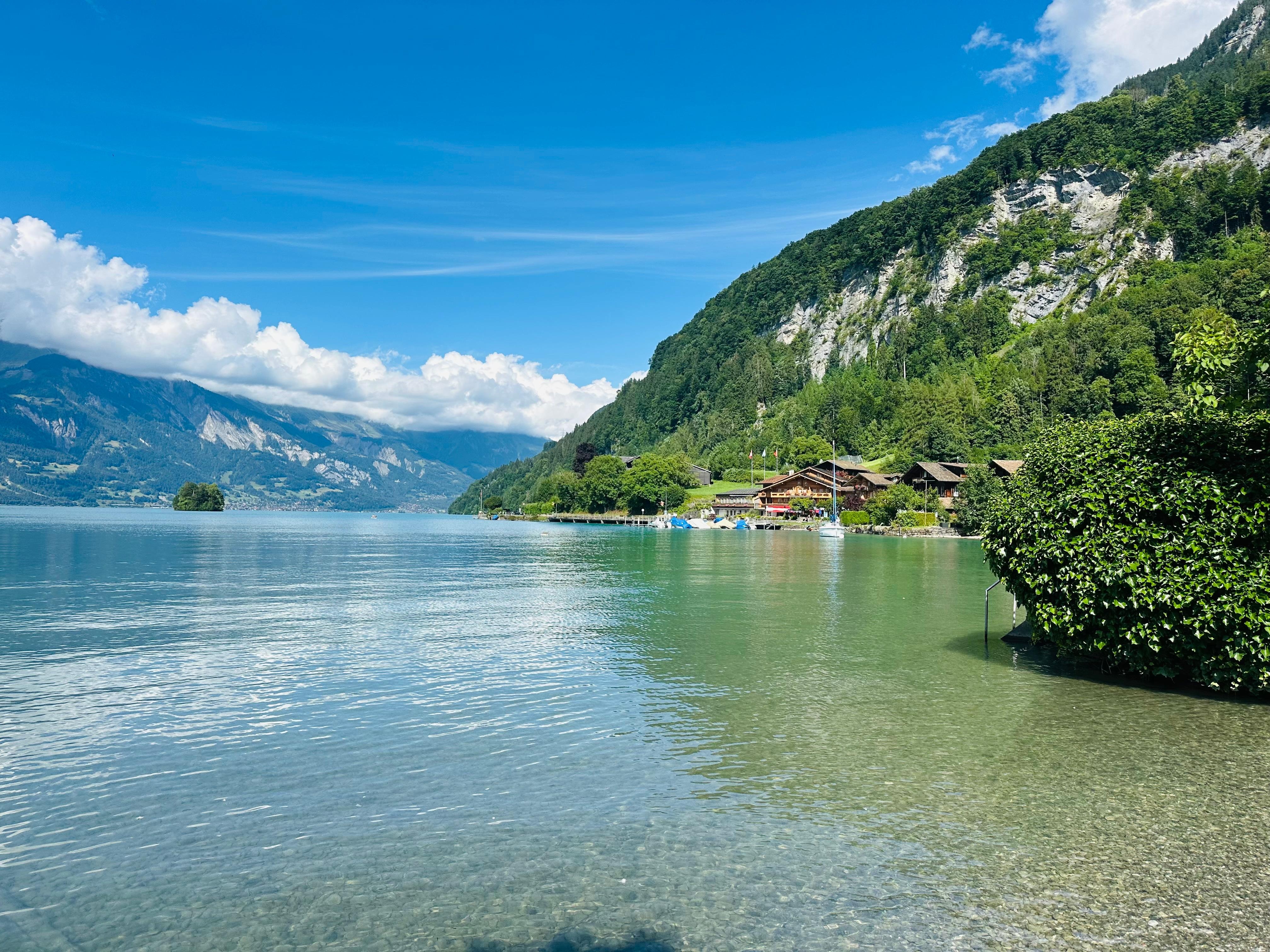 View from the restaurant Seegarten 