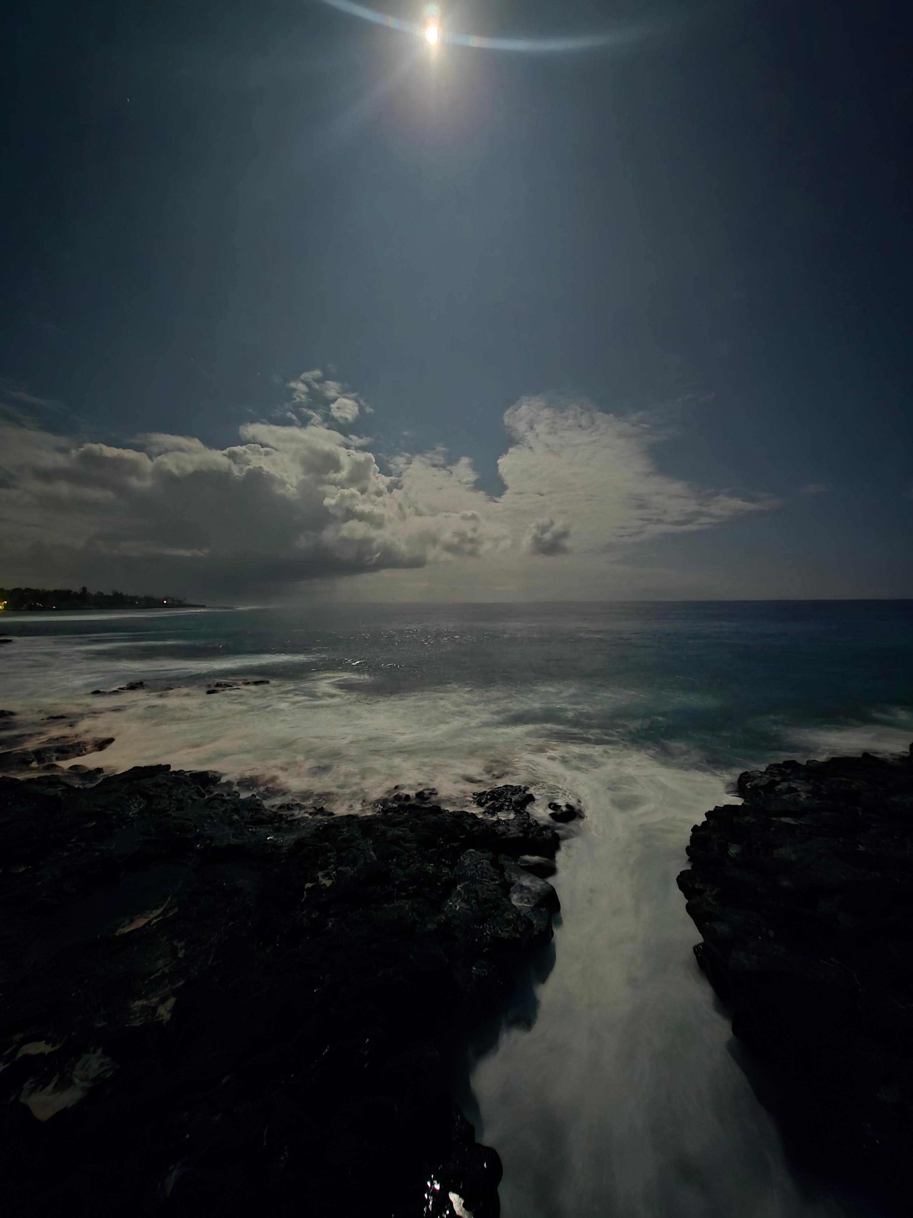 "Backyard" by moonlight 