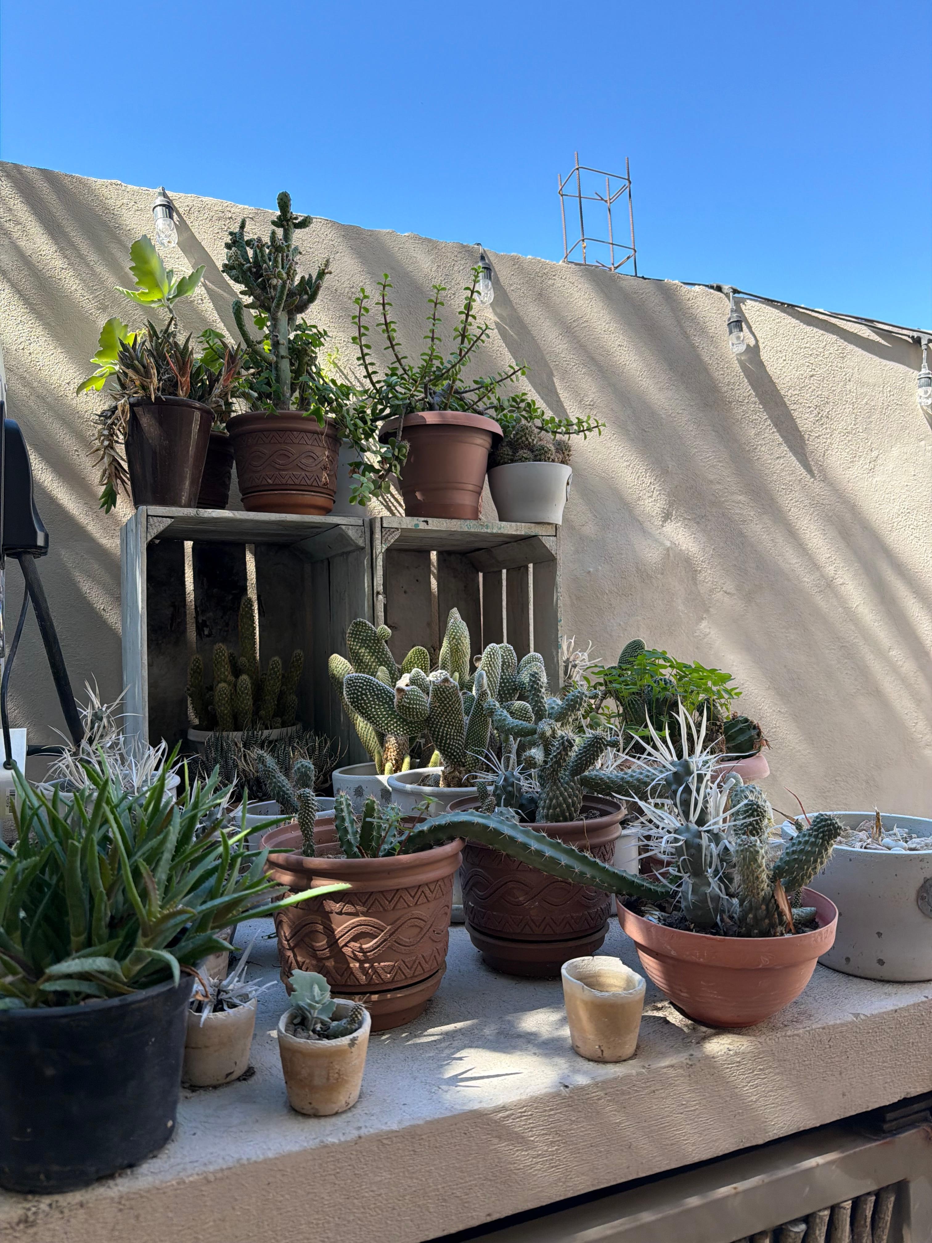 Simple artistic decorations