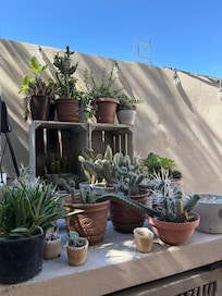 Simple artistic decorations