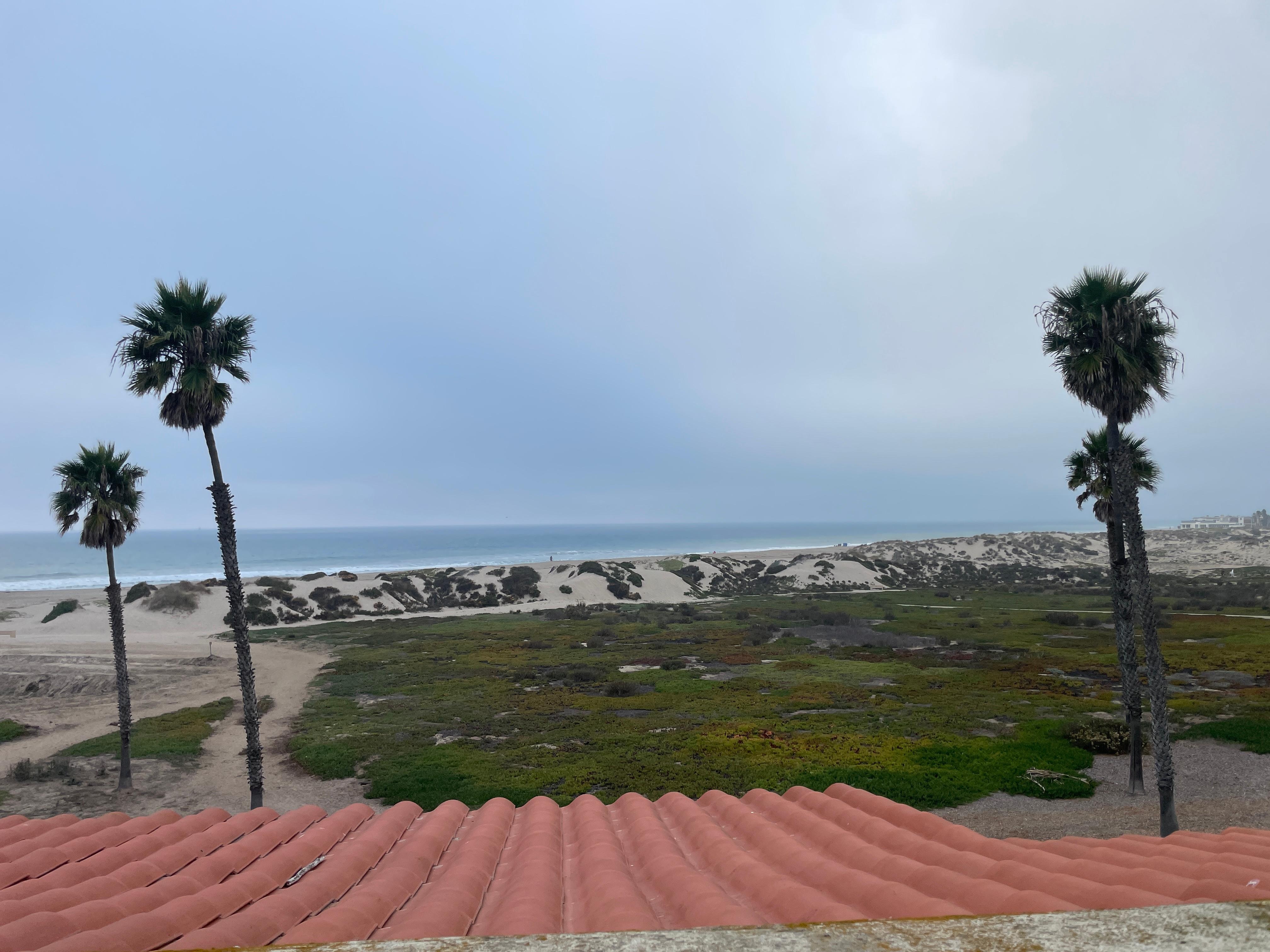 View from room, building G