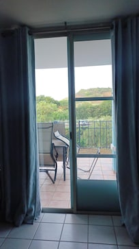 The view from the patio. 