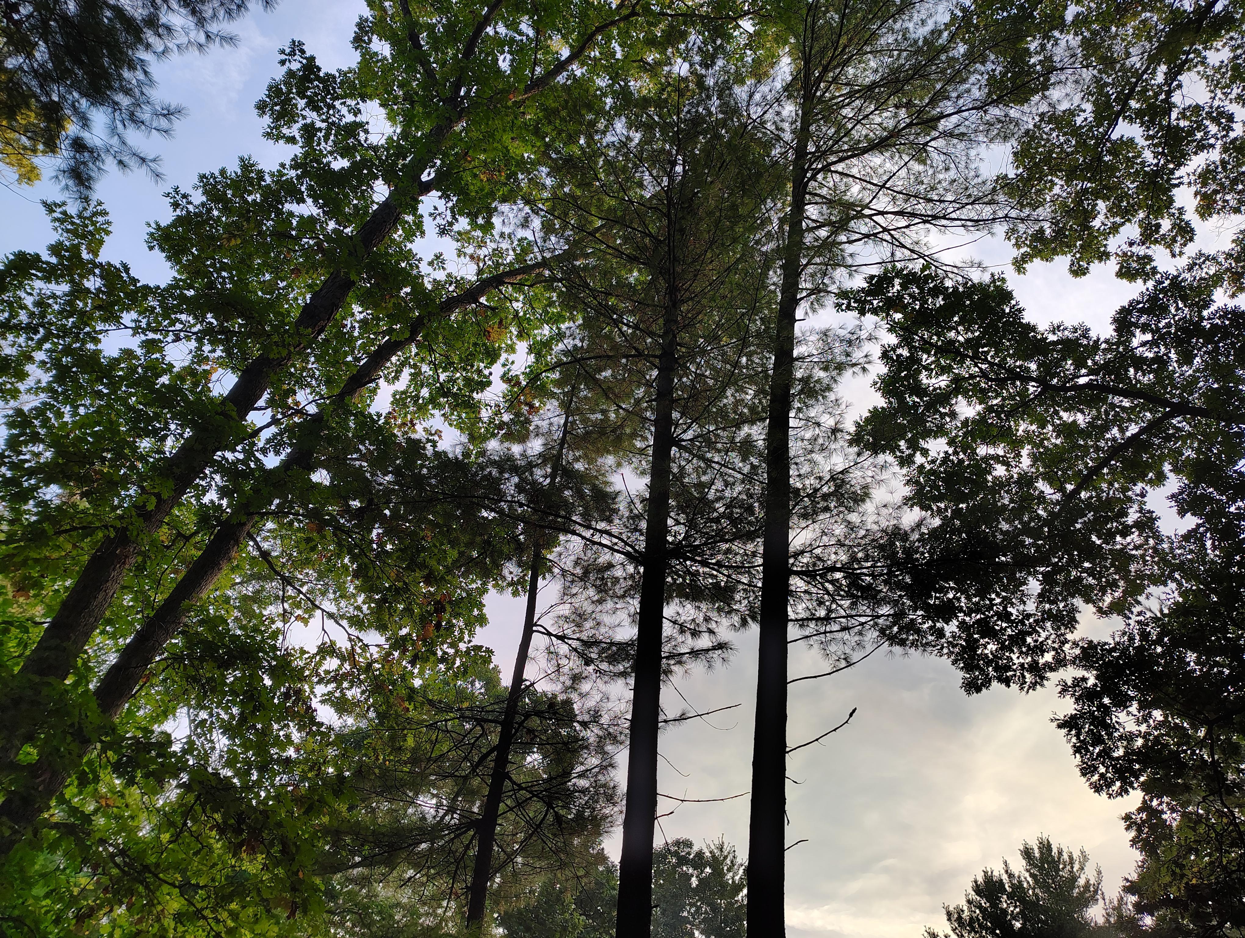 Sky view from Dome porch