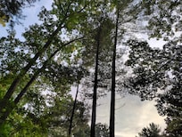 Sky view from Dome porch