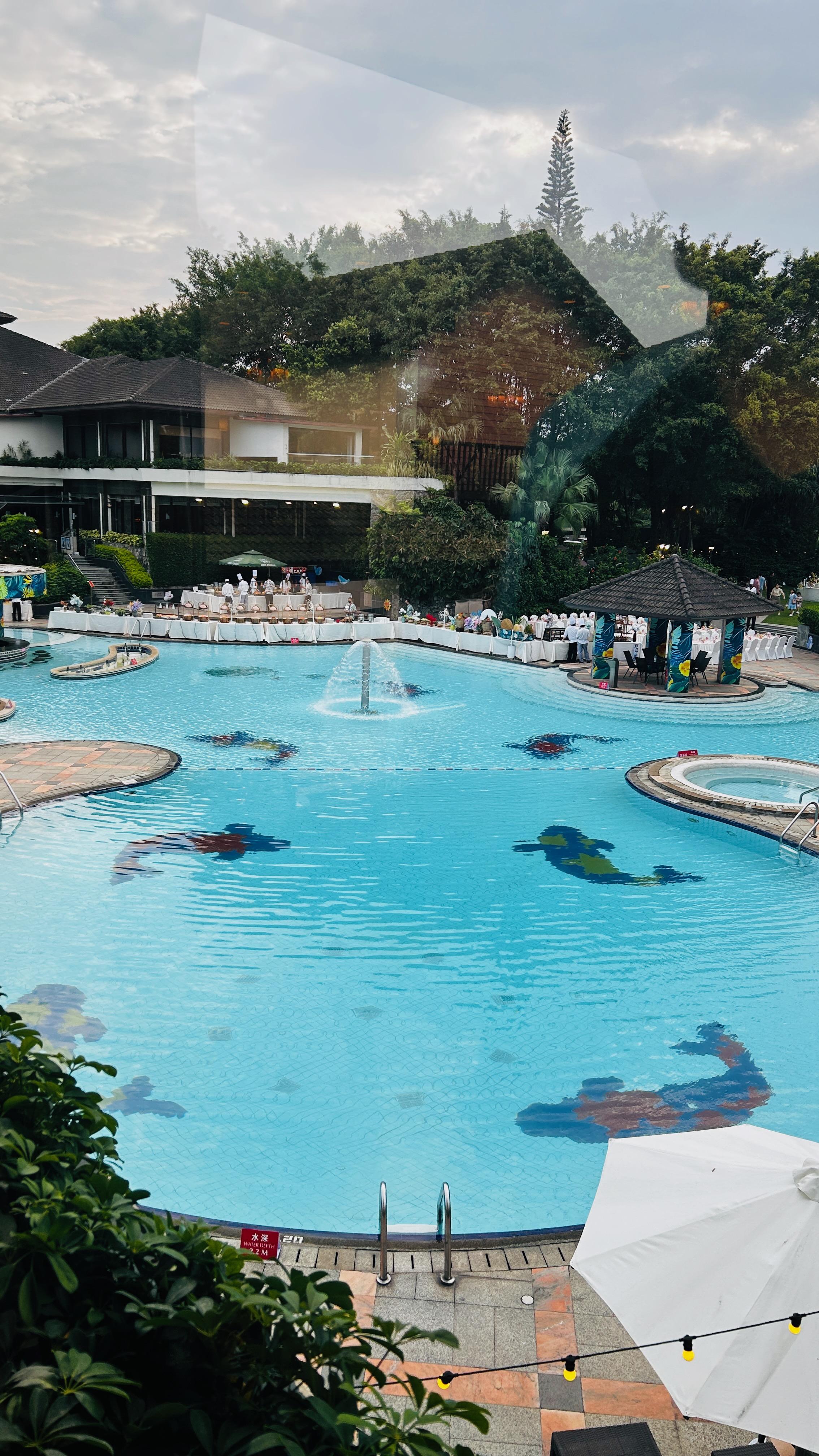 The swimming pool viewing