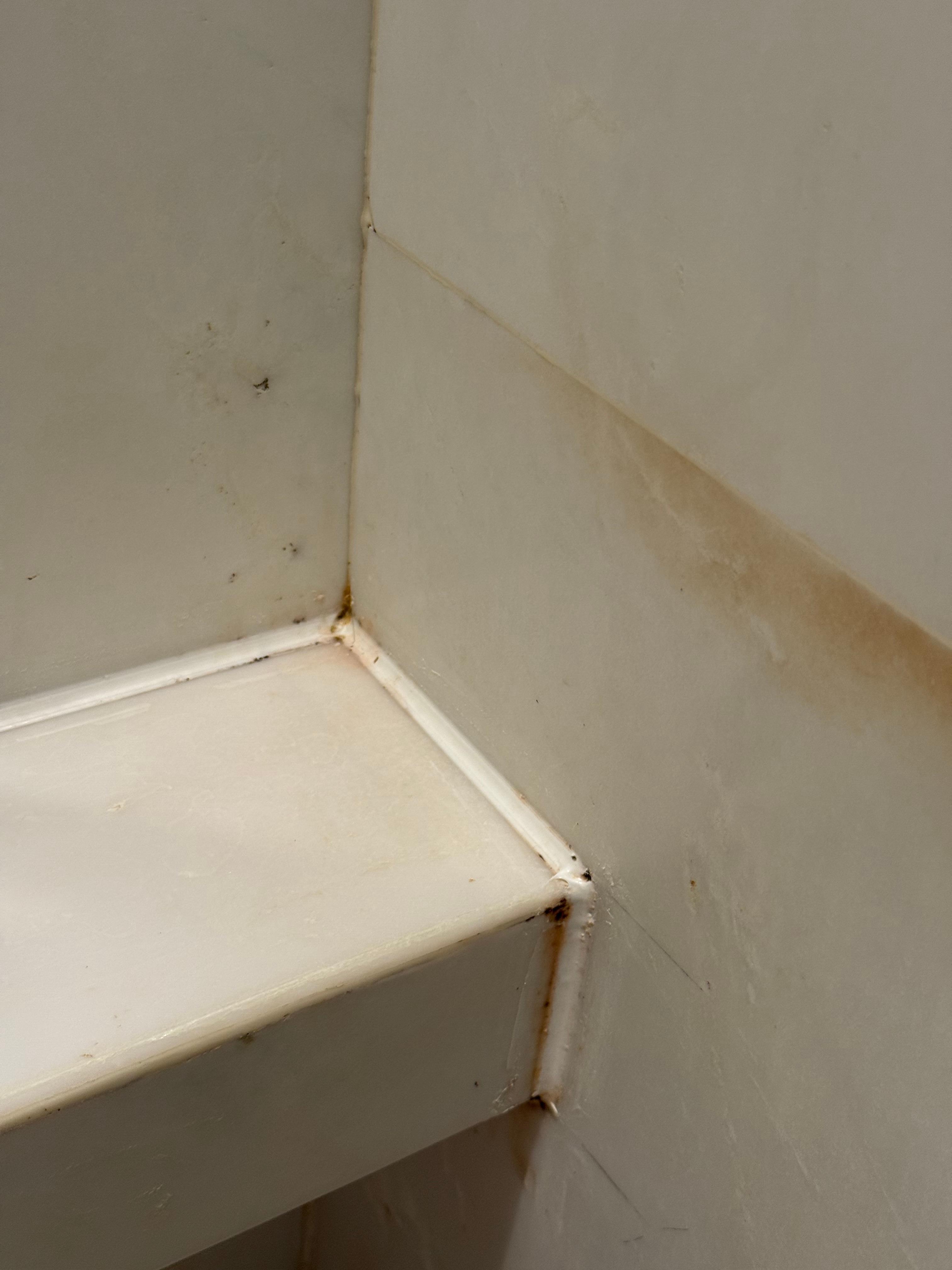 Stains in the shower area