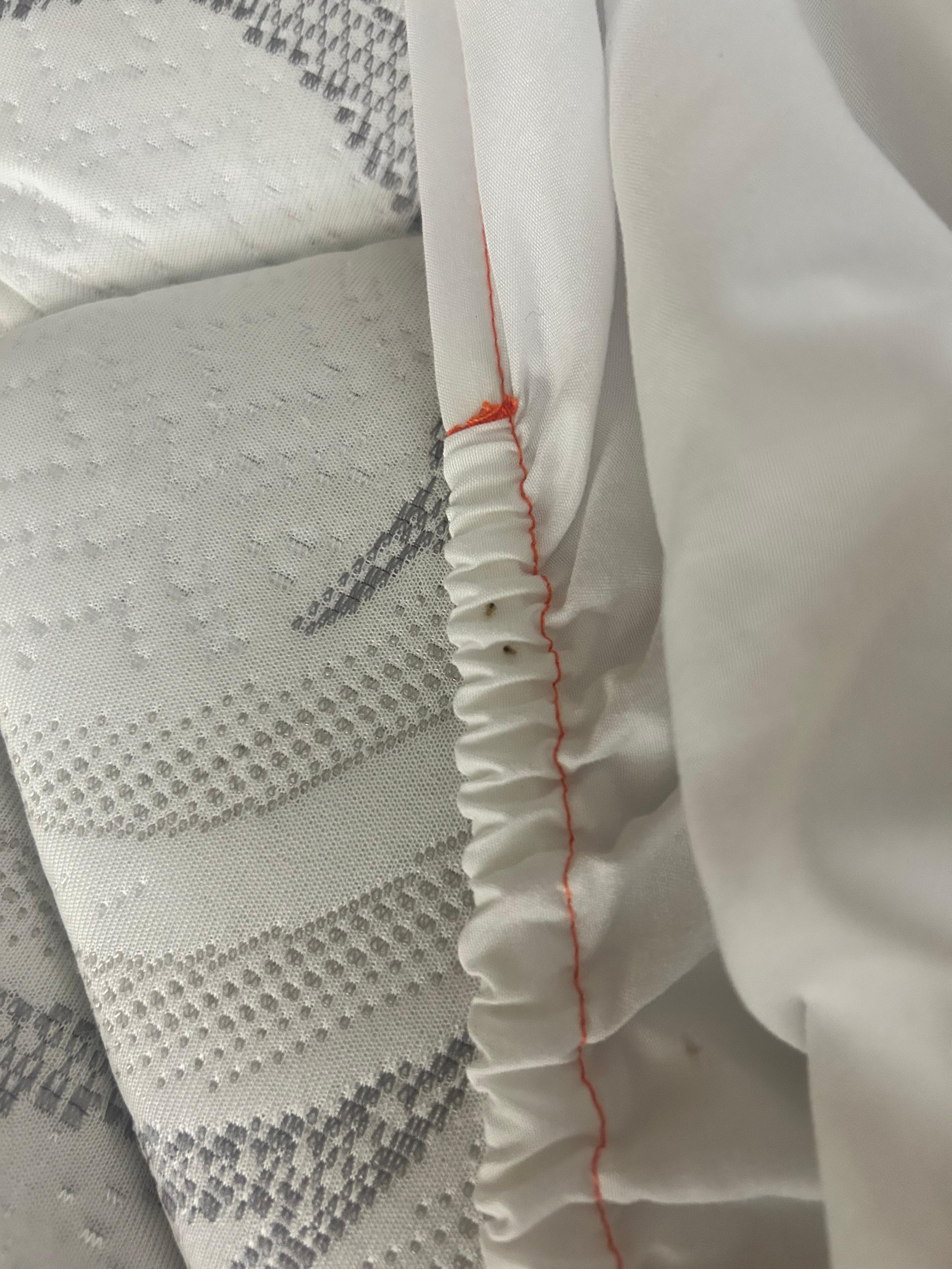 Bed bugs on sheet