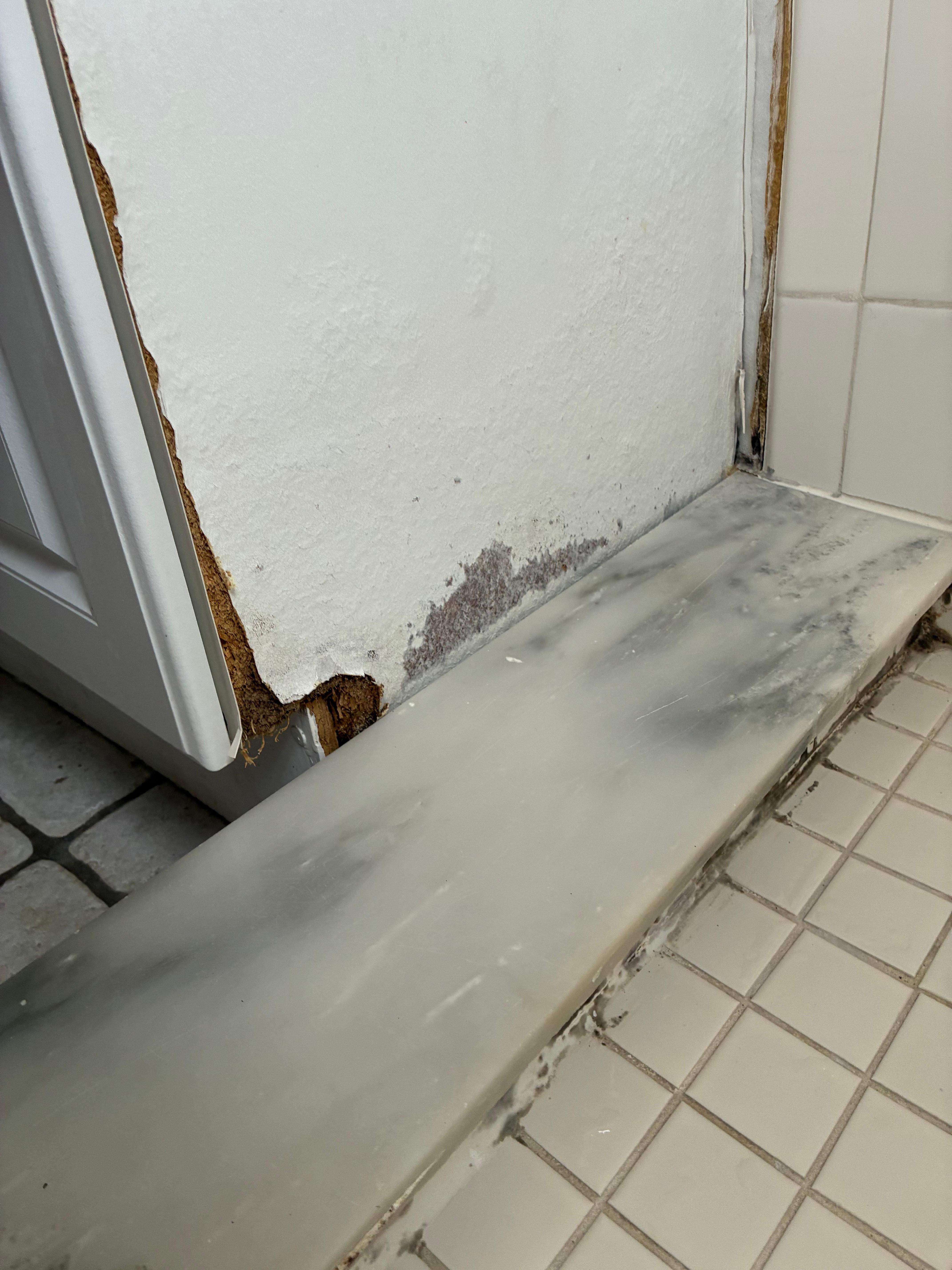 Mold/ rotting wood on bathroom vanity