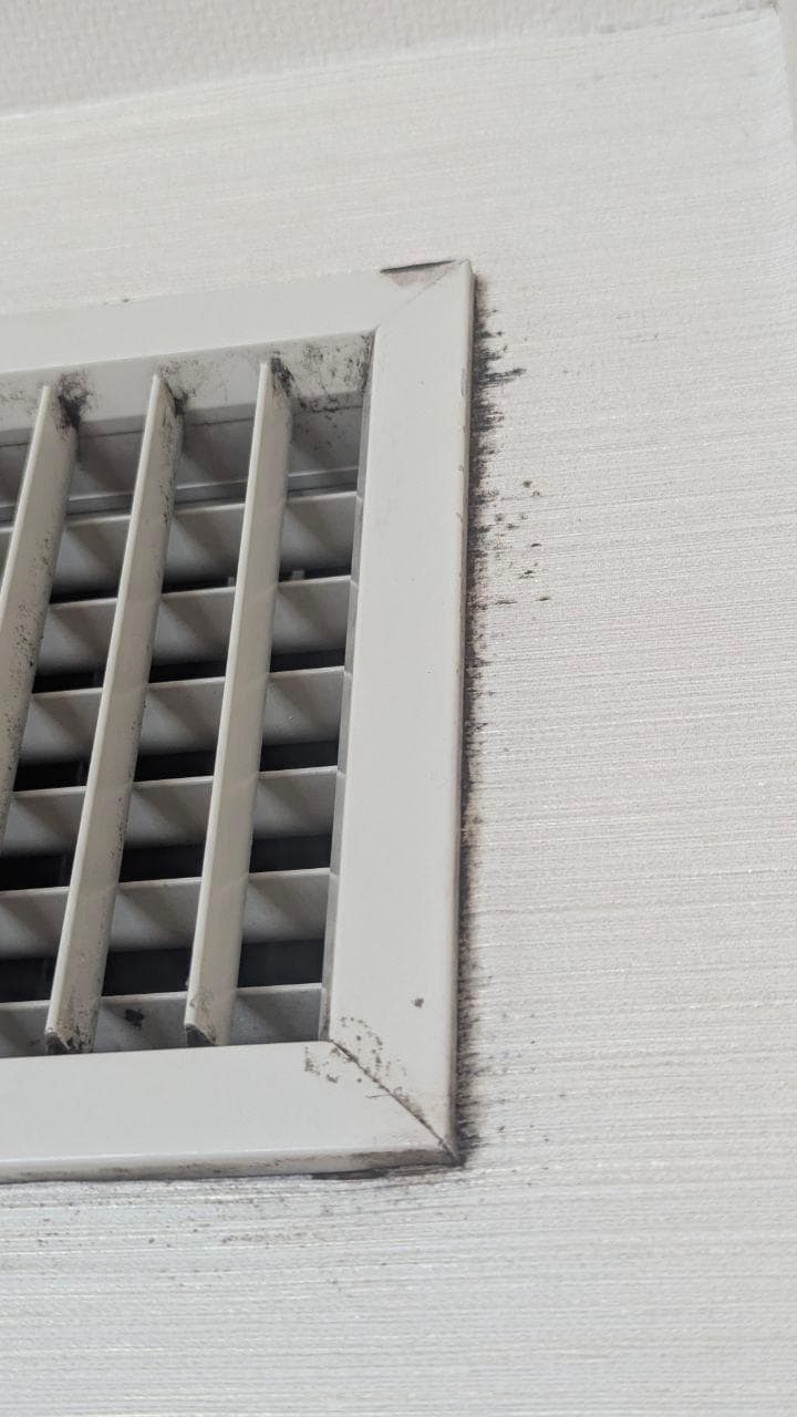 Schwarzschimmel an der Klimaanlagenlüftung 