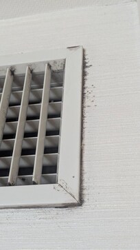 Schwarzschimmel an der Klimaanlagenlüftung