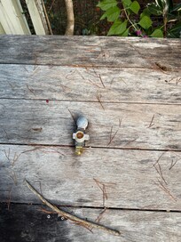 Gas line, with hose removed, on back deck.