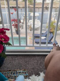 Beautiful view from the linia