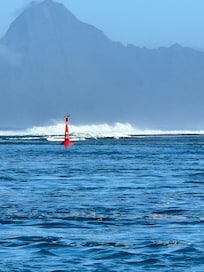 View of Moorea