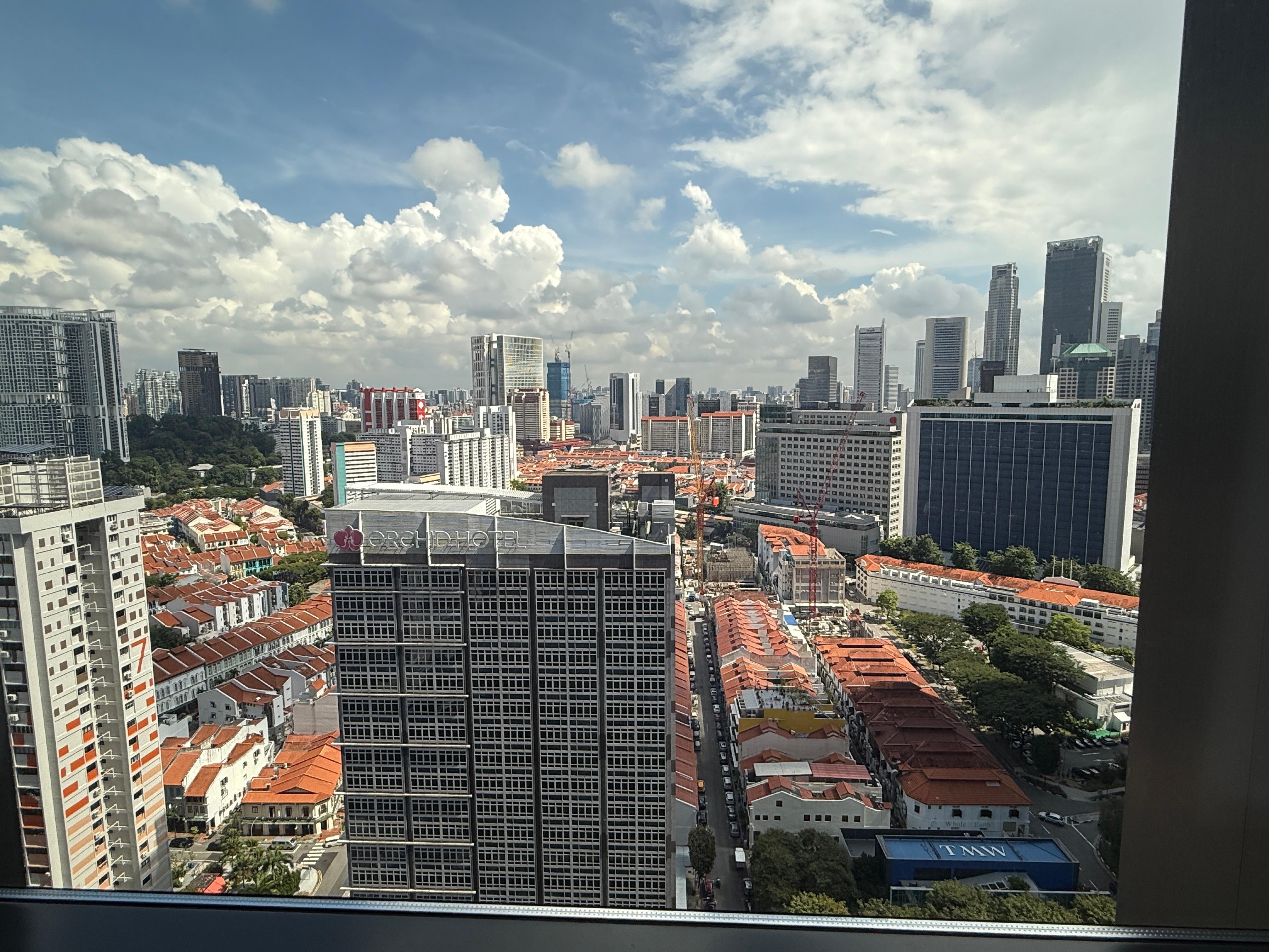 Enjoyed the view night and day. China town is the brown roof 2 story buildings.,