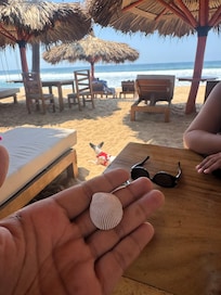 Excelente lugar Pet friendly